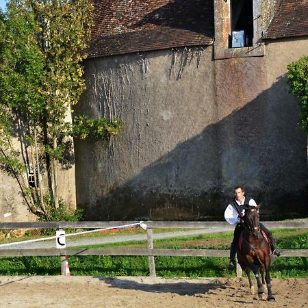 Chateau Des Noces Bazoges-en-Pareds Exteriör bild