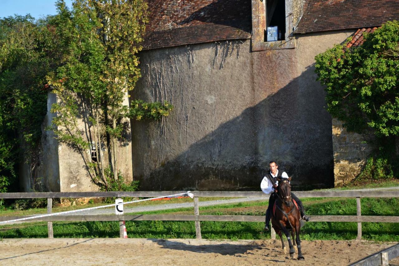 Chateau Des Noces Bazoges-en-Pareds Exteriör bild